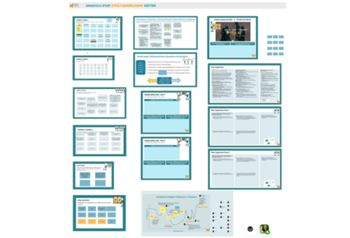 ANADOLU ETAP PERFORMANS DÖNEMİNDE ETKİN GERİBİLDİRİM EĞİTİMİ